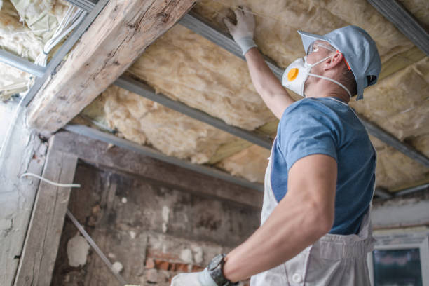 Best Commercial Insulation in Seneca, SC